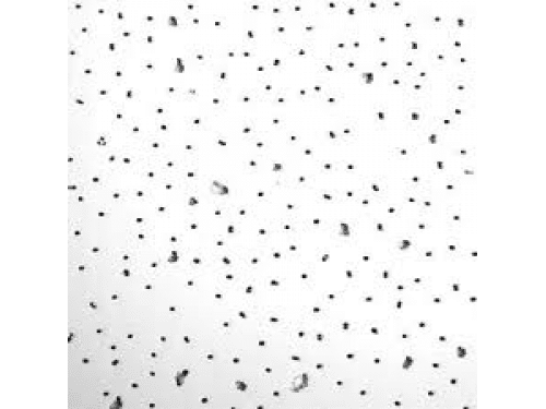 Radar SQ